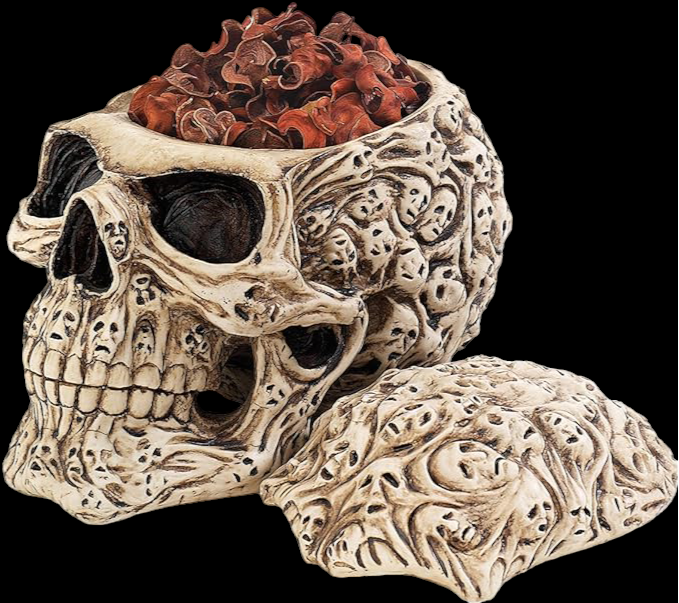 Bone Skull Box & Steampunk Skull Box